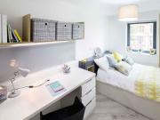 1 Bedroom Shared Living/roommate Cardiff Cardiff 90462854