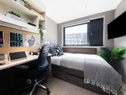 1 Bedroom Shared Living/roommate Cardiff Cardiff 90482440