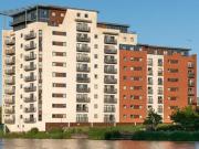 1 Bedroom Shared Living/roommate Cardiff Cardiff 98404493