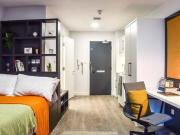 1 Bedroom Shared Living/roommate London London 90445272