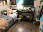1 Bedroom Shared Living/roommate Peterborough ON 89282950