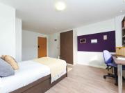 1 Bedroom Shared Living/roommate Swansea Swansea 90462552
