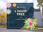 1 bedroom St. Catharines Pet Friendly Apartment For Rent 82.