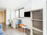 1 bedroom studio apartment to rent