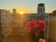 1 BedroomApartment / Flat For Rent inSteyn City