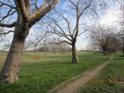 1 Bedrooms Flat for rent in Rosedale Road, Forset Gate E7