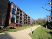 1 Bedrooms Flat for rent in Saffron Court, Ebony... 1 Bedrooms Flat for rent in Saffron Court, Ebony...