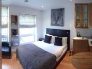 1 Bedrooms Studio for rent in Cartwright Gardens, London...