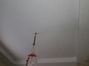 1 BHK 300 Sq Ft Apartment In Devansh, Vasai East, Mumbai