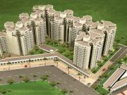 1 BHK 301 Sq Ft Apartment In ROF Aalayas, Sector 102,...