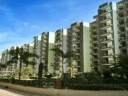 1 BHK 475 Sq Ft Apartment In Maya Garden City, Zirakpur,...
