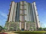 1 BHK 527 Sq Ft Apartment In Sheth Avante, Kanjurmarg...