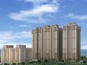 1 BHK 555 Sq Ft Apartment In Hiranandani Fortune City,...