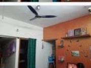 1 BHK 650 Sq. Ft Apartment for rent in Chandapura Anekal...