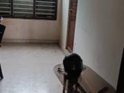 1 BHK 700 Sq. Ft Apartment for rent in Malkajgiri, Hyderabad