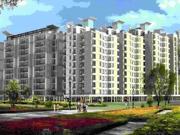 1 BHK 700 Sq Ft Apartment In SBP South City, Zirakpur,...