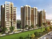 1 BHK 750 Sq Ft Apartment In Maya Green Lotus Avenue,...