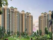 1 BHK 995 Sq Ft Independent/ Builder Floor In Grand...