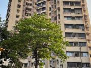 1 BHK Apartment in Andheri West for rent Mumbai. The...