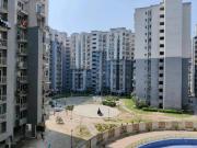 1 BHK Apartment in Bamheta Village for rent Ghaziabad....