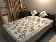 1 BHK Apartment in Bamheta Village for resale NH24...