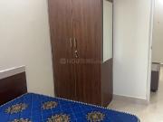 1 BHK Apartment in BTM Layout for rent Bangalore. The...