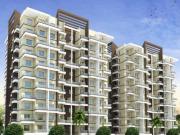 1 BHK Apartment in Chikhali for resale Pimpri Chinchwad....