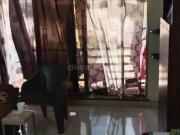 1 BHK Apartment in Dahisar West for resale Western...