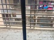 1 BHK Apartment in Dombivli East for rent Sandap Gaon....