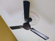1 BHK Apartment in Electronic City for rent Bengaluru....