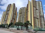 1 BHK Apartment in Hadapsar for resale Magarpatta Road....