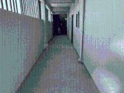 1 BHK Apartment in Hafeezpet for rent Hyderabad. The...