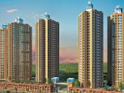 1 BHK Apartment in Hiranandani Estate for resale Thane....