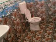 1 BHK Apartment in Indira Nagar for rent Lucknow. The...