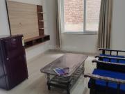 1 BHK Apartment in Jagatpura for rent Jaipur. The...