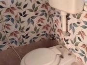 1 BHK Apartment in Kandivali East for rent Mumbai. The...