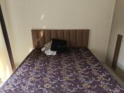 1 BHK Apartment in Kasarvadavali for rent Thane. The...