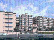 1 BHK Apartment in Kewale for resale Navi Mumbai. The...