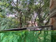 1 BHK Apartment in Koramangala for rent Bangalore. The...