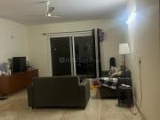 1 BHK Apartment in Koramangala for rent Bengaluru. The...