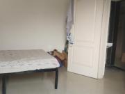 1 BHK Apartment in Lohegaon for rent Pune. The reference...