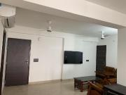 1 BHK Apartment in Malviya Nagar for rent Jaipur. The...