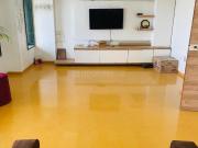 1 BHK Apartment in Matunga West for rent Mumbai. The...