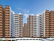 1 BHK Apartment in Moshi for resale Pimpri Chinchwad....