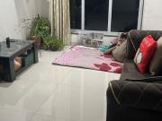 1 BHK Apartment in Mumbai Central for rent Mumbai. The...