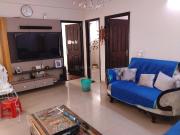 1 BHK Apartment in Noida Extension for rent Greater...