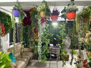 1 BHK Apartment in Pandri for resale Raipur. The...