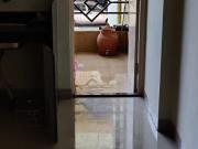1 BHK Apartment in Pashan for rent Pune. The reference...
