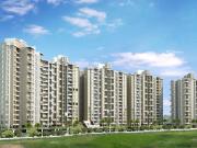 1 BHK Apartment in Ravet for resale Pimpri Chinchwad....