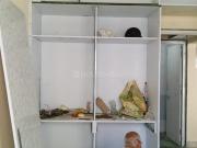 1 BHK Apartment in Sector 14 Dwarka for rent New Delhi....